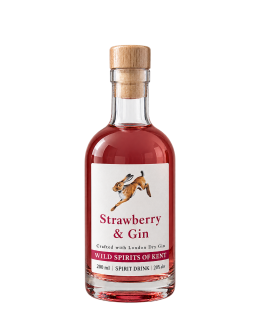 Wild Spirits of Kent Strawberry Infused Gin 200ml Bottle 