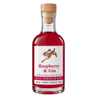 Wild Spirits of Kent Raspberry Infused Gin 200ml Bottle
