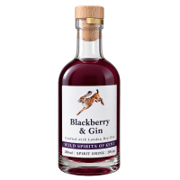 Wild Spirits of Kent Blackberry Infused Gin 200ml Bottle