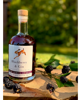Wild Spirits of Kent Blackberry Infused Gin 500ml Bottle 